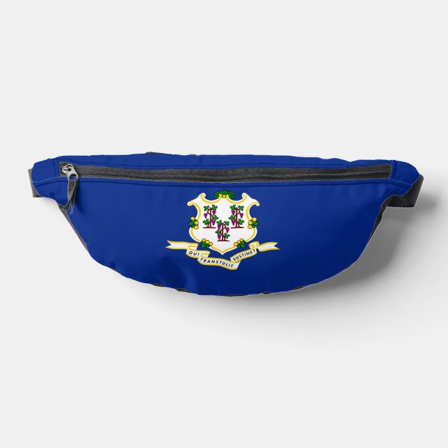 Design der Verbindungsstatusflagge Bauchtasche (Ablage )
