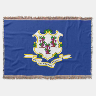 Design der Verbindungsstatusflagge Decke