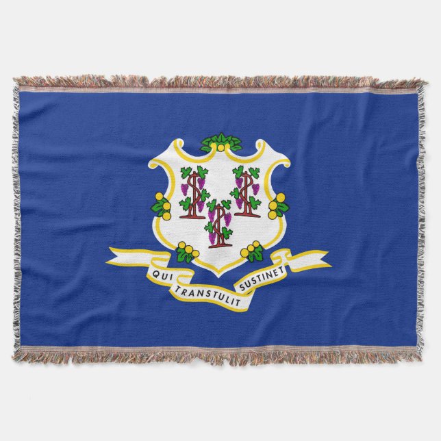 Design der Verbindungsstatusflagge Decke (Vorderseite)