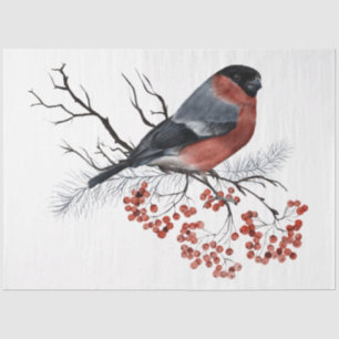 Design der Weihnachtsbird-Serie 7 Seidenpapier