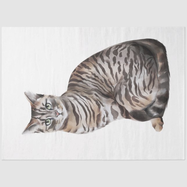 Design der Wildkatzen 6 Seidenpapier (Vorderseite)