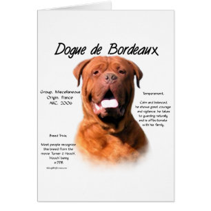 Design des Dogue de Bordeaux