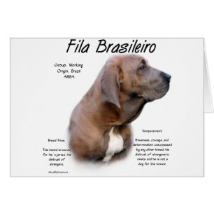 Design d'histoire de Fila Brasileiro