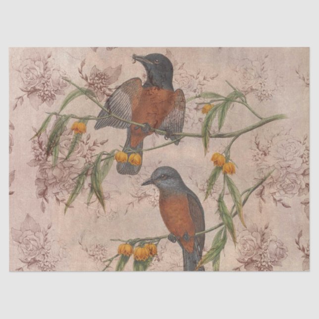 Design Drei der Ephemeride Birds Serie Seidenpapier (Vorderseite)