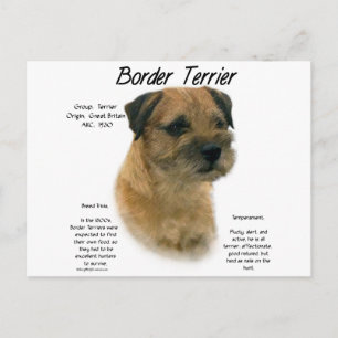Design für den Verlauf von Border Terrier Postkarte