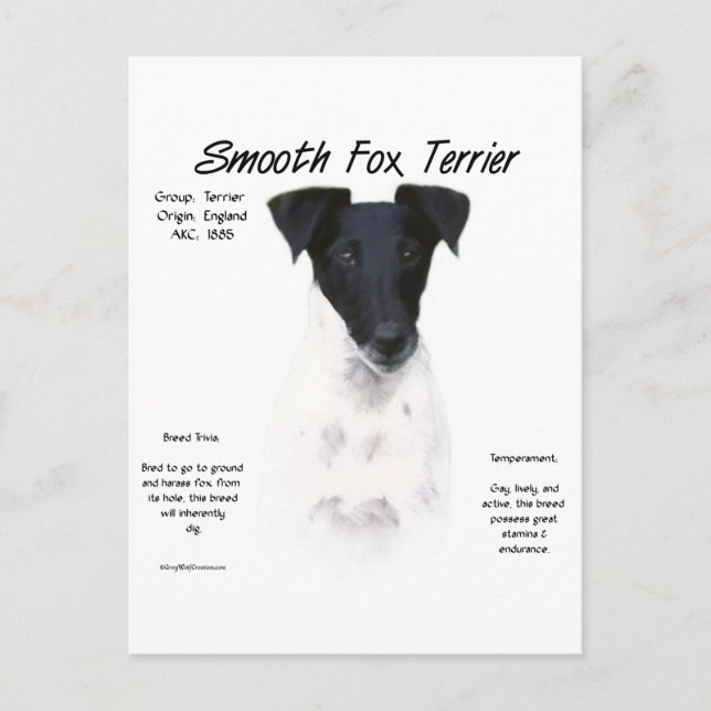 Design für die Geschichte von Smooth Fox Terrier Postkarte (Vorderseite)