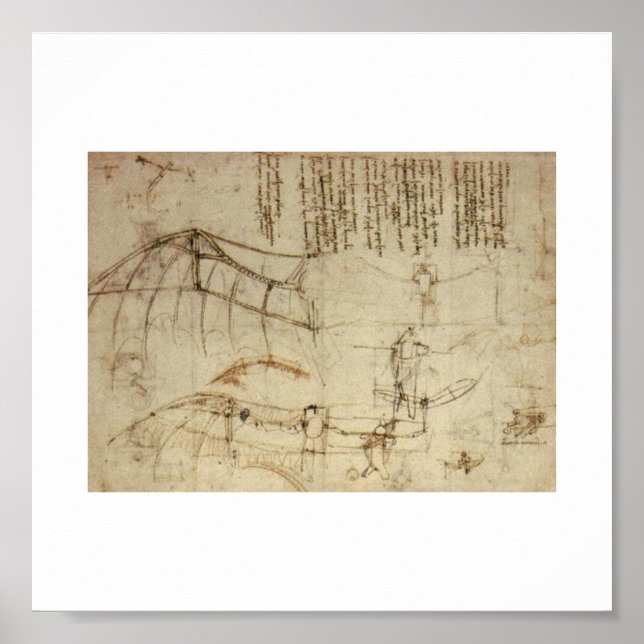 Design für eine Flugmaschine von Leonardo Da Vinci Poster (Vorne)