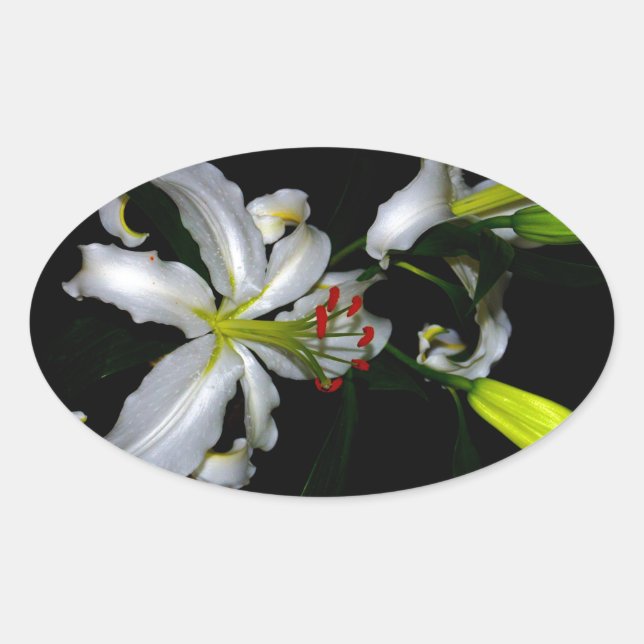 Design für irische Blume Ovaler Aufkleber (Vorderseite)