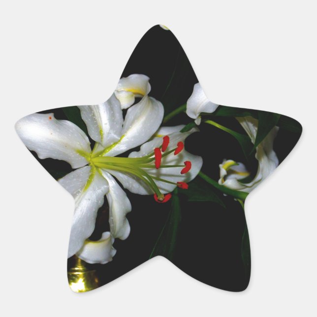 Design für irische Blume Stern-Aufkleber (Vorderseite)