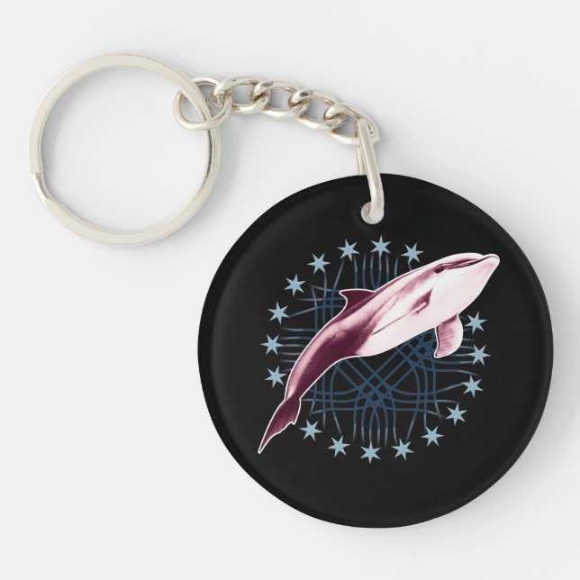 Design graphique Dolphin Slick (Devant)
