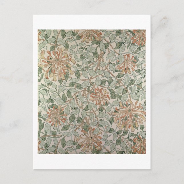 Design "Honeysuckle II" Postkarte (Vorderseite)