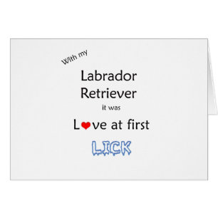 Design Lick Retriever Labrador