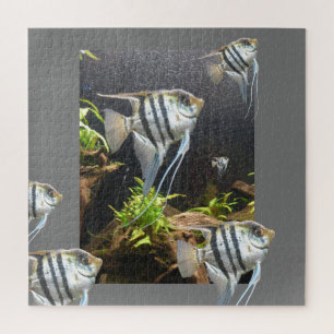 Design-Puzzle: Tropisch gestreifter Fisch