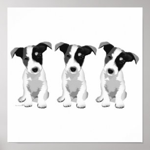 Design Roseplatin® Poster