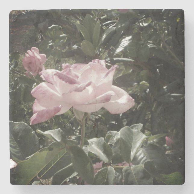 Design-Stil aus Stein-Untersetzer Steinuntersetzer (Vorderseite)