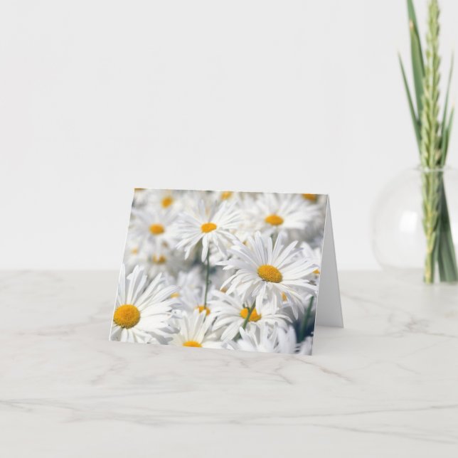 Design tendance de marguerite (Devant)