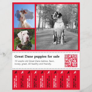 Designer-Abreißflyer Deutsche Dogge Flyer