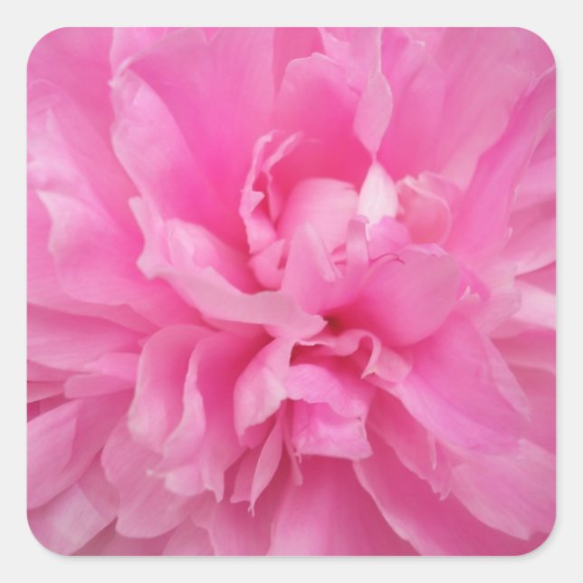 DESIGNER PINK FLORAL UMSCHLAG AUFKLEBER UND STICKE (Vorderseite)