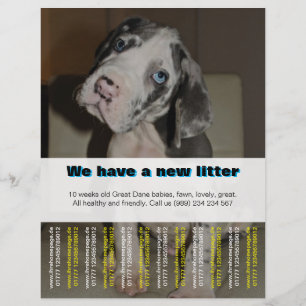 Designer-Welpen-Verkaufsflyer Flyer
