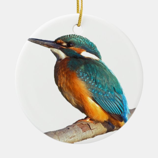 Designprodukte von "Kingfisher" Keramikornament (Vorne)