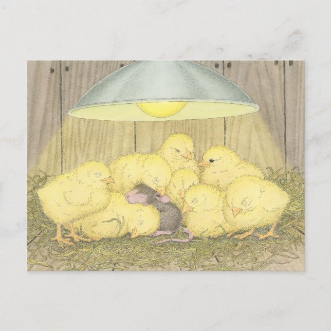 Designs für Hausmäuse® - Postkarten (Vorderseite)