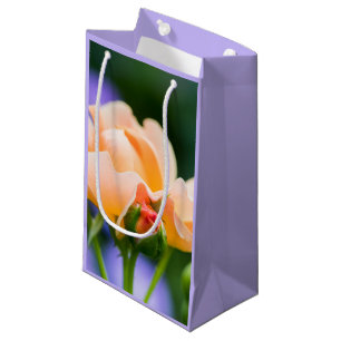 désir déplier grand sac cadeau
