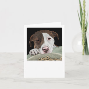 "Desire" - Pit Bull Card Karte