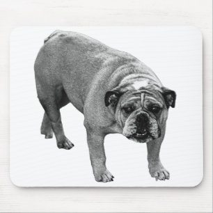 Desk Calm Bulldog Mousepad