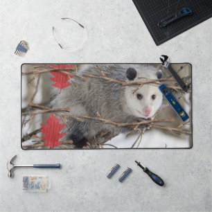 Desk Mat Opossum Nature Faune