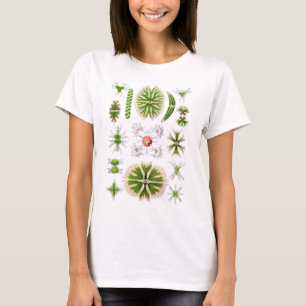 Desmids T-Shirt