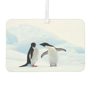 Désodorisant Pour Voiture Adelie Penguins