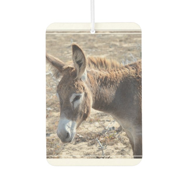 Désodorisant Pour Voiture Adorable âne (Devant)