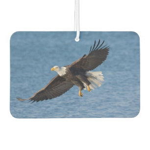 Désodorisant Pour Voiture Aigle royal en vol