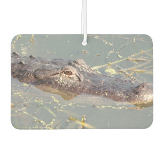 Désodorisant Pour Voiture Air Freshner de l'alligator américain