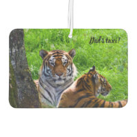 Amur Tigers Rafraîchiseur d'air