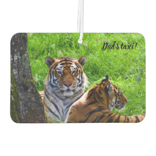 Désodorisant Pour Voiture Amur Tigers Rafraîchiseur d'air