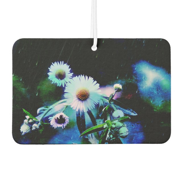 Désodorisant Pour Voiture Asters Aglow (Devant)