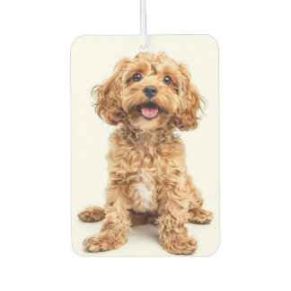 Désodorisant pour voiture avec photo de chien pers