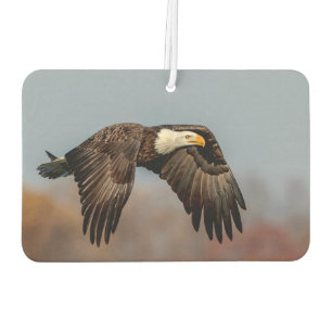 Désodorisant Pour Voiture Bald Eagle en vol