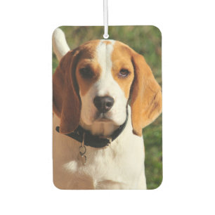 Désodorisant Pour Voiture Beagle Car Air Freshener