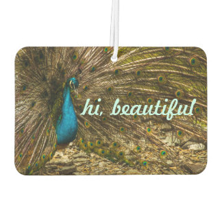 Désodorisant Pour Voiture Beau Peacock Bleu avec Plumes Open Tail