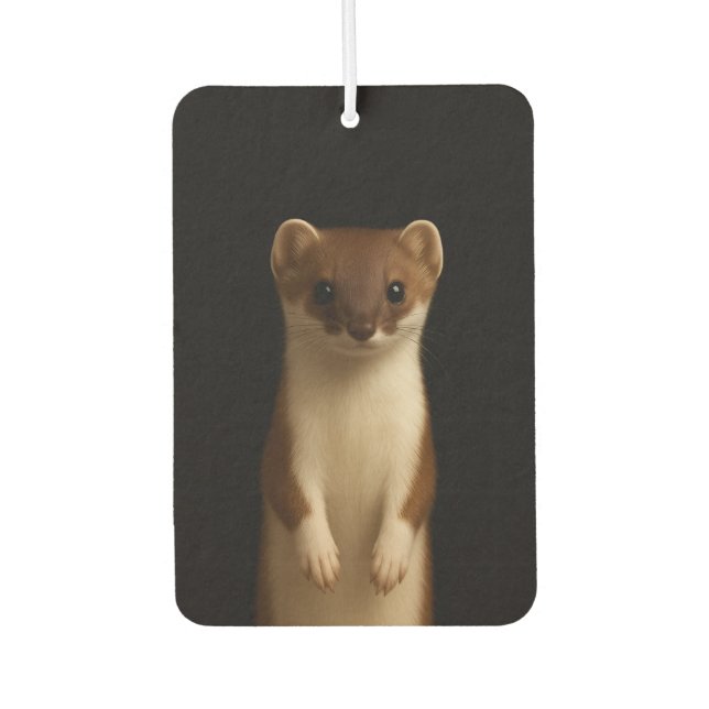 Désodorisant Pour Voiture Black 4 Luxe Car Air Fresheners, Elegant Weasel (Devant)