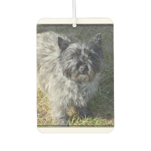 Désodorisant Pour Voiture Black Cairn Terrier