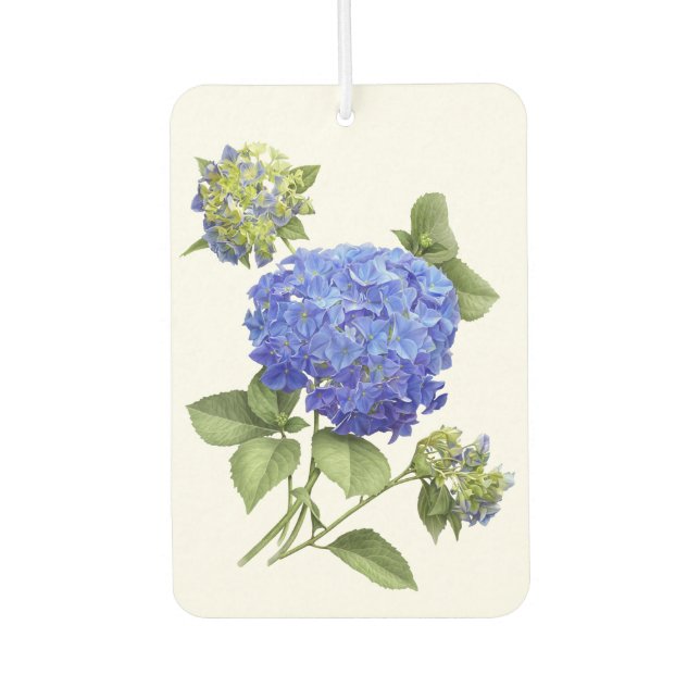 Désodorisant Pour Voiture Blue Hydrangea Flower Botanical Art Design (Devant)
