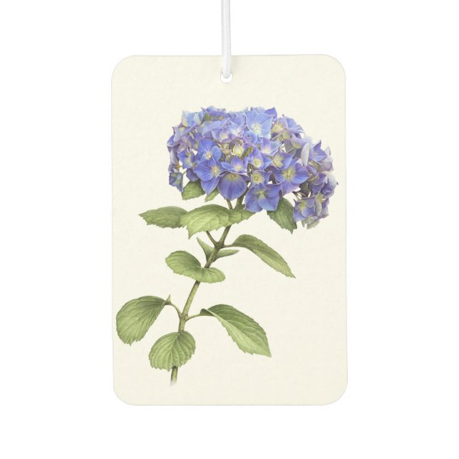 Désodorisant Pour Voiture Blue Hydrangea Flower Botanical Art Design (Devant)