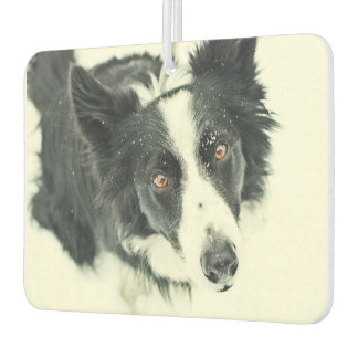 Désodorisant Pour Voiture Bordure Collie Voiture Air Freshener