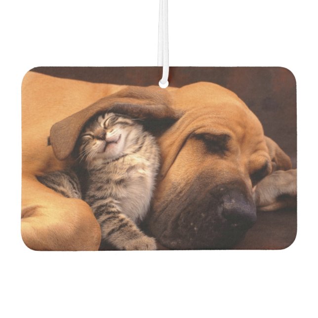 Désodorisant Pour Voiture Buddies Air Freshener (Devant)