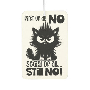 Désodorisant Pour Voiture Cadeau pour amateur de chat drôle avant tout