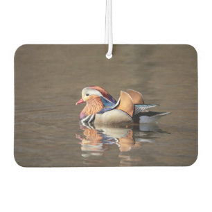 Désodorisant Pour Voiture Canard mandarin