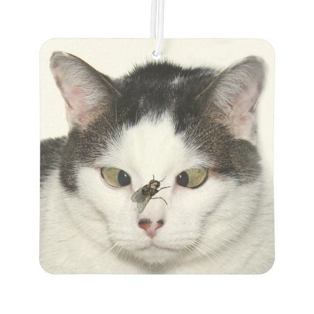 Désodorisant Pour Voiture Chat aux yeux croisés et mouche (Dos)